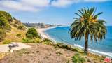17352 Sunset Blvd - Photo 47