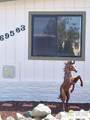 69563 Midpark Dr - Photo 2