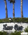 69563 Midpark Dr - Photo 48