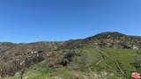 2195 Little Las Flores - Photo 13