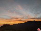 2195 Little Las Flores - Photo 19
