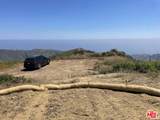 2195 Little Las Flores - Photo 4