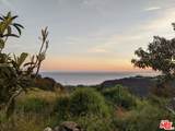 2195 Little Las Flores - Photo 9