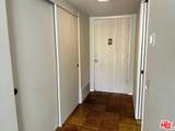 325 Via Escuela - Photo 11