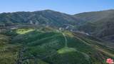 34335 Mulholland - Photo 12