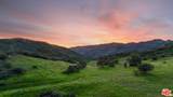 34335 Mulholland - Photo 13