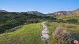 34335 Mulholland - Photo 2