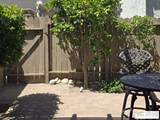 365 Mariscal Rd - Photo 8