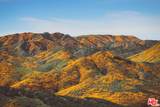 30505 Canyon Hills Rd - Photo 71