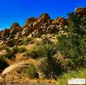 6220 Mirlo Ct - Photo 1