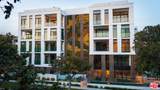 425 Palm Dr - Photo 41