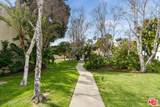 6481 Kanan Dume Rd - Photo 19