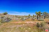 56656 Paseo Los Ninos - Photo 29