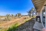 56656 Paseo Los Ninos - Photo 30