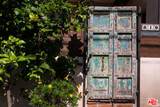 819 Woodlawn Ave - Photo 3
