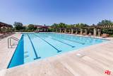 25684 Via Ventana - Photo 42
