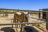 55626 Pipes Canyon Rd - Photo 60