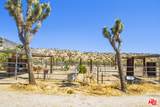 55626 Pipes Canyon Rd - Photo 62