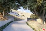 30051 Andromeda Ln - Photo 14