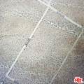0-Vac Avenue K-8 Ave - Photo 3
