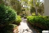10306 Summertime Ln - Photo 22