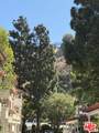 501 Palisades Dr - Photo 4