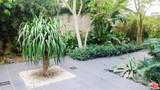 460 Spring St - Photo 38