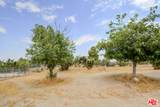 1828 Orum Rd - Photo 32