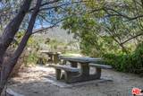 23441 Malibu Colony Rd - Photo 38