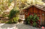 21513 Highvale Trl - Photo 49