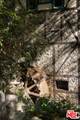 485 Madeline Dr - Photo 7