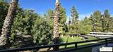 2825 Los Felices Rd - Photo 13