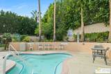 1555 Chaparral Rd - Photo 25