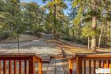 25431 Hotei Ln - Photo 43