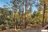 25431 Hotei Ln - Photo 44