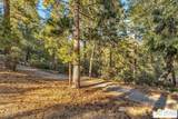 25431 Hotei Ln - Photo 45