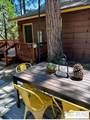 25431 Hotei Ln - Photo 7