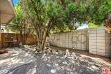 1328 Camino Primrose - Photo 29