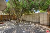 1328 Camino Primrose - Photo 36