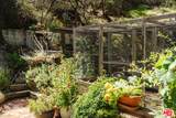 1237 Old Topanga Canyon Rd - Photo 41
