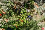 1237 Old Topanga Canyon Rd - Photo 42