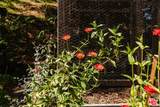 1237 Old Topanga Canyon Rd - Photo 46