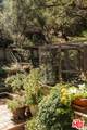 1237 Old Topanga Canyon Rd - Photo 47