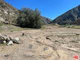 12571 Capra Rd - Photo 10