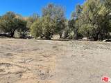 12571 Capra Rd - Photo 2