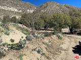 12571 Capra Rd - Photo 7