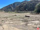 12571 Capra Rd - Photo 8