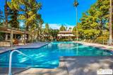 2875 Los Felices Rd - Photo 24