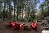 52352 Pine Ridge Rd - Photo 4