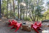 52352 Pine Ridge Rd - Photo 43